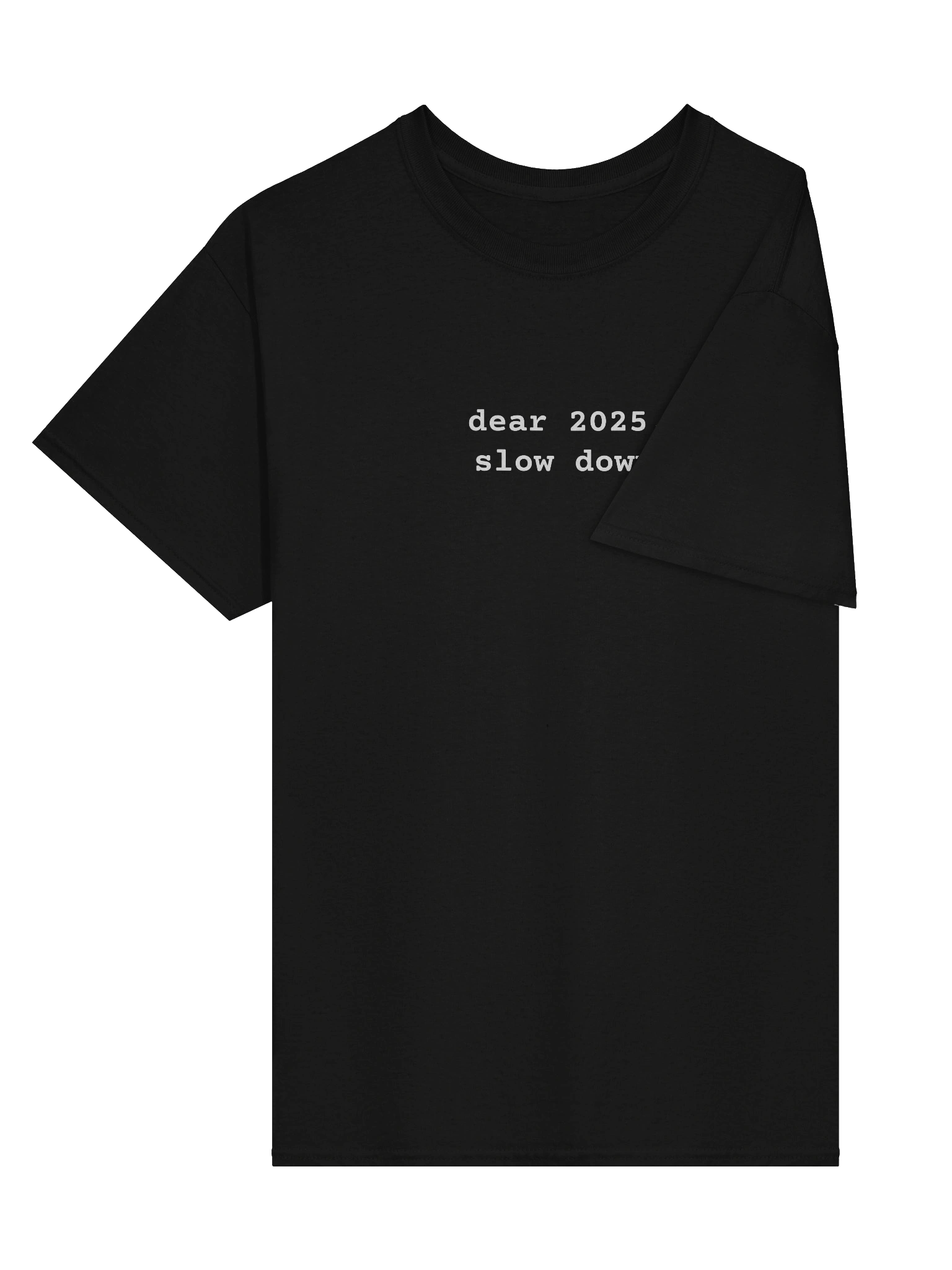 Funny Unisex T-Shirt 2025 - dear 2025, slow down product image (3)
