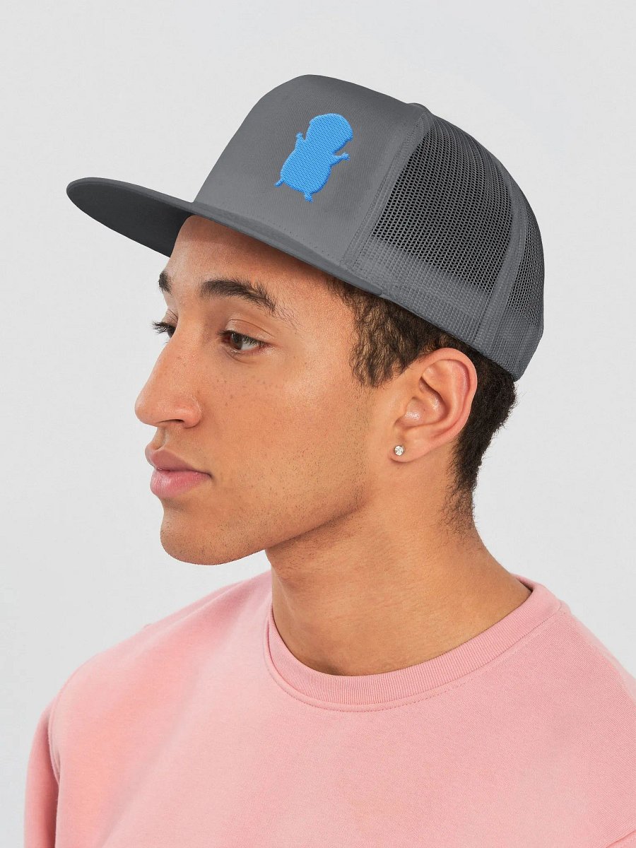 FIRESNOUT CHARCOAL AND TEAL HAT product image (3)