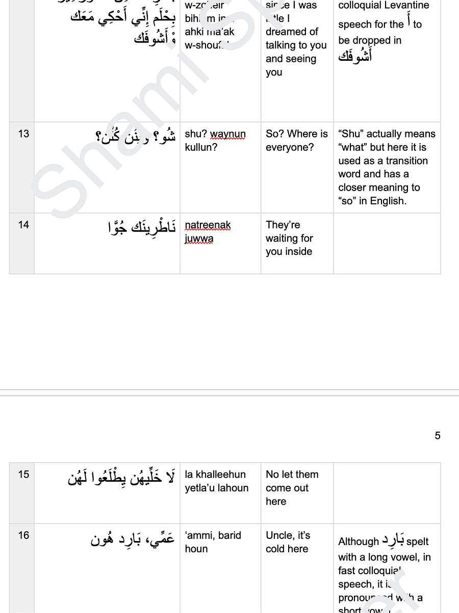 Learn Levantine Arabic With TV Shows (Ya Rayt Part 7) product image (3)