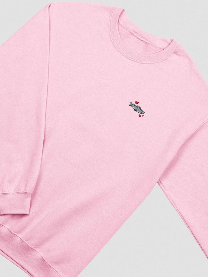 actually salmon embroidered crewneck product image (10)