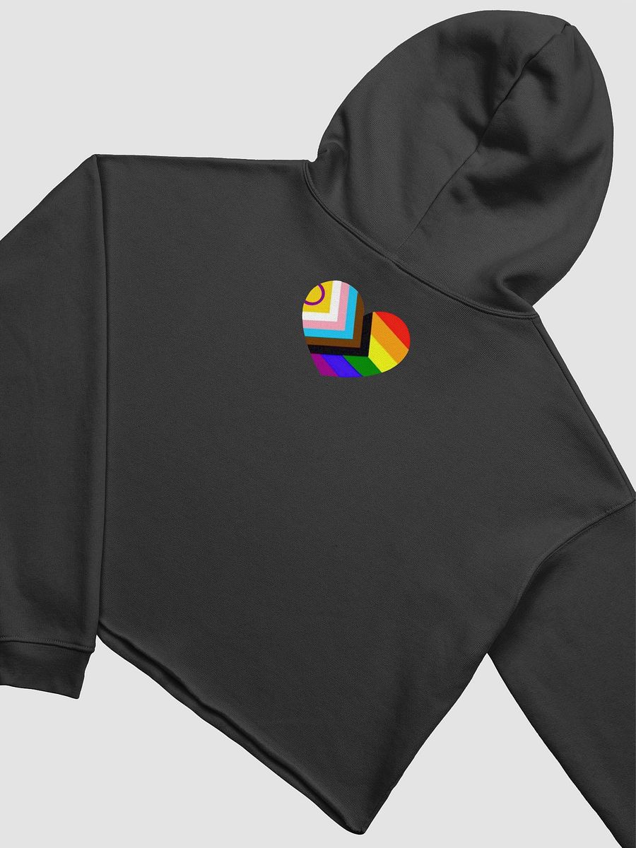 b!tch bigfoot crop hoody product image (4)
