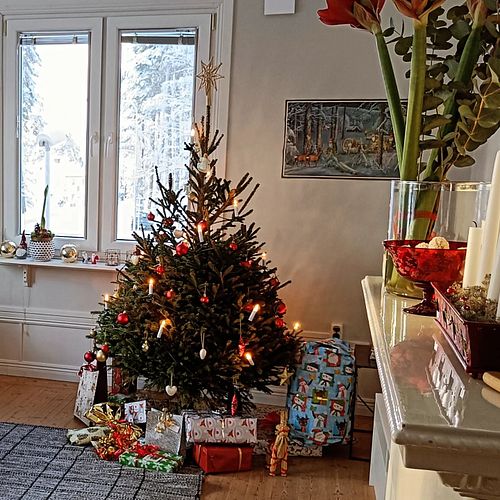 Merry Christmas 🎄

#julafton #christmas2023