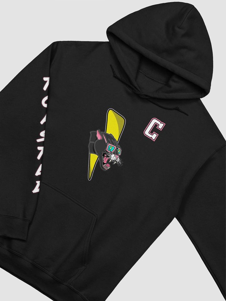 Toasted Thundercats Gilden Hoodie product image (26)