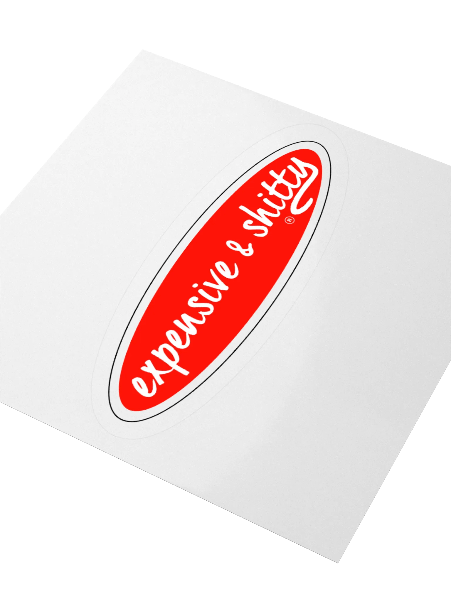 EXPENSIVE & SHITTY STICKER (SINGLE) product image (3)