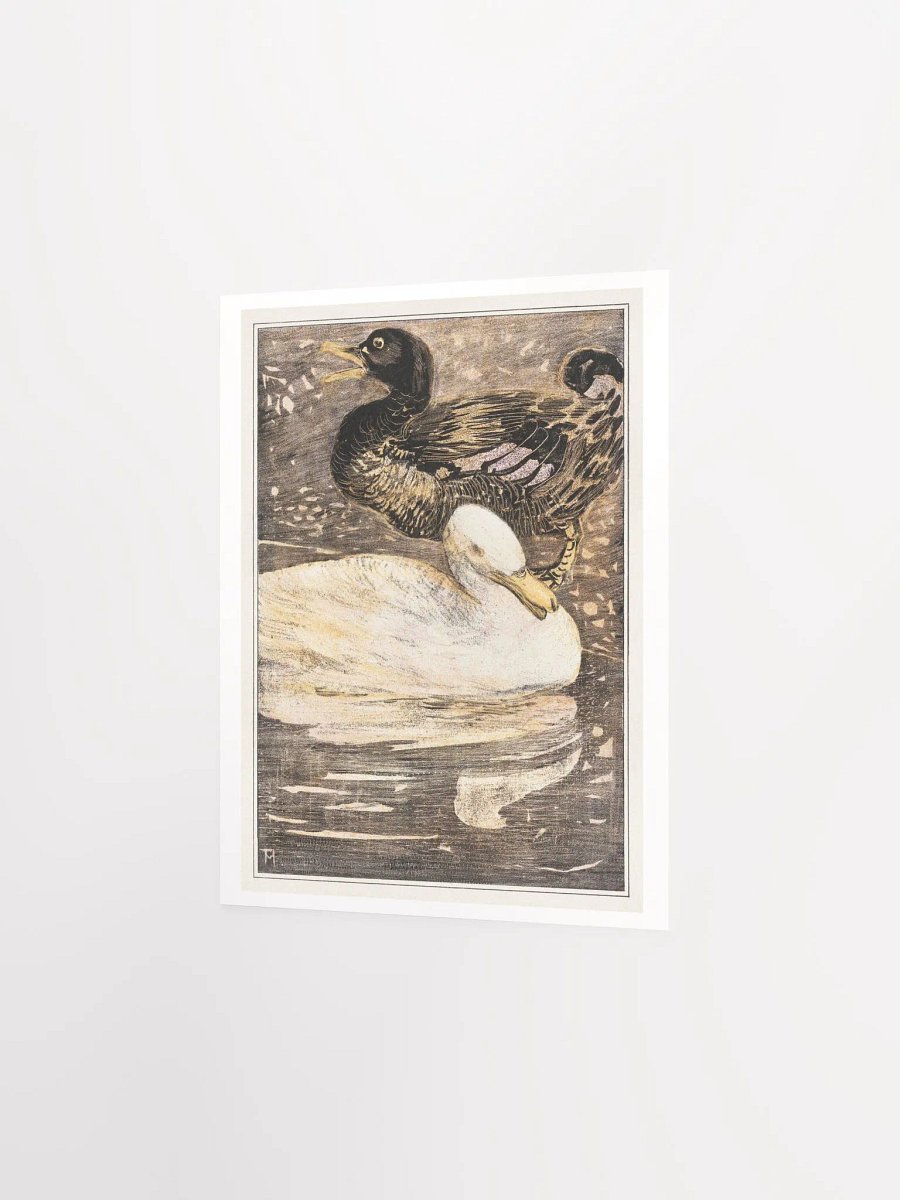 Two Ducks -Twee eenden product image (14)