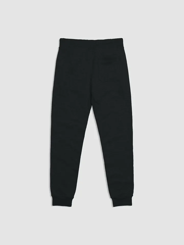 Plain Jane Since DayOne Joggers product image (2)