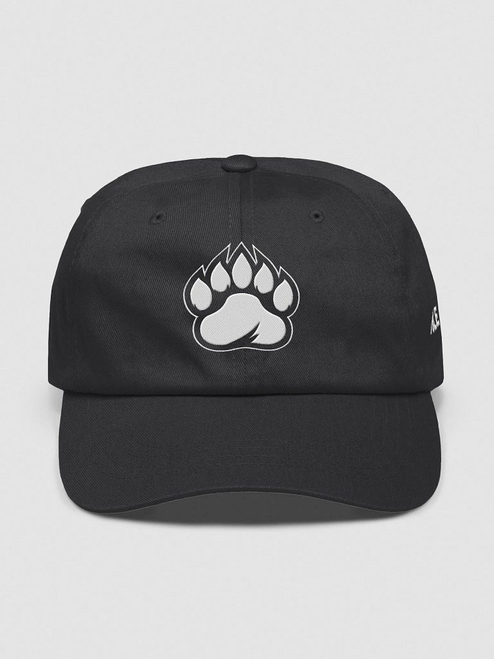 Bears Dad Hat product image (1)