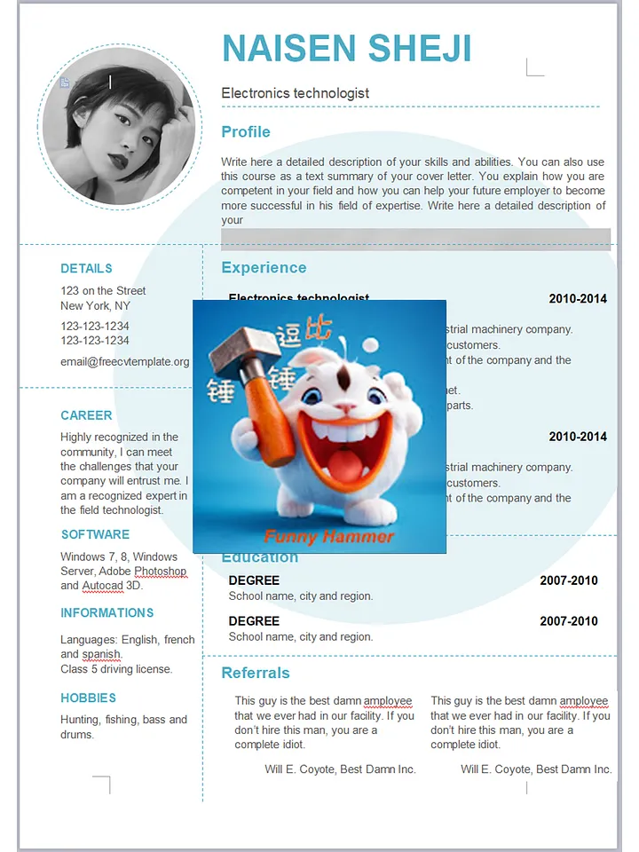 180 sets of English resume templates/英文履歷模板180套 product image (2)