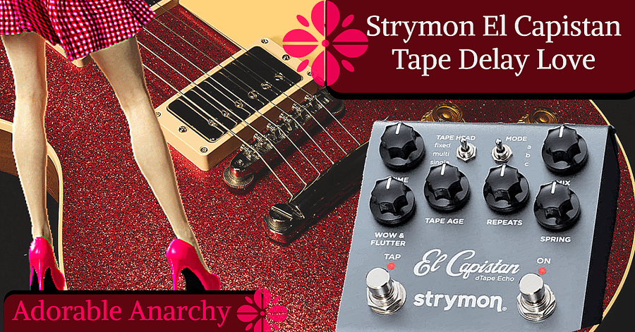 Strymon El Capistan Tape Delay Love product image (1)