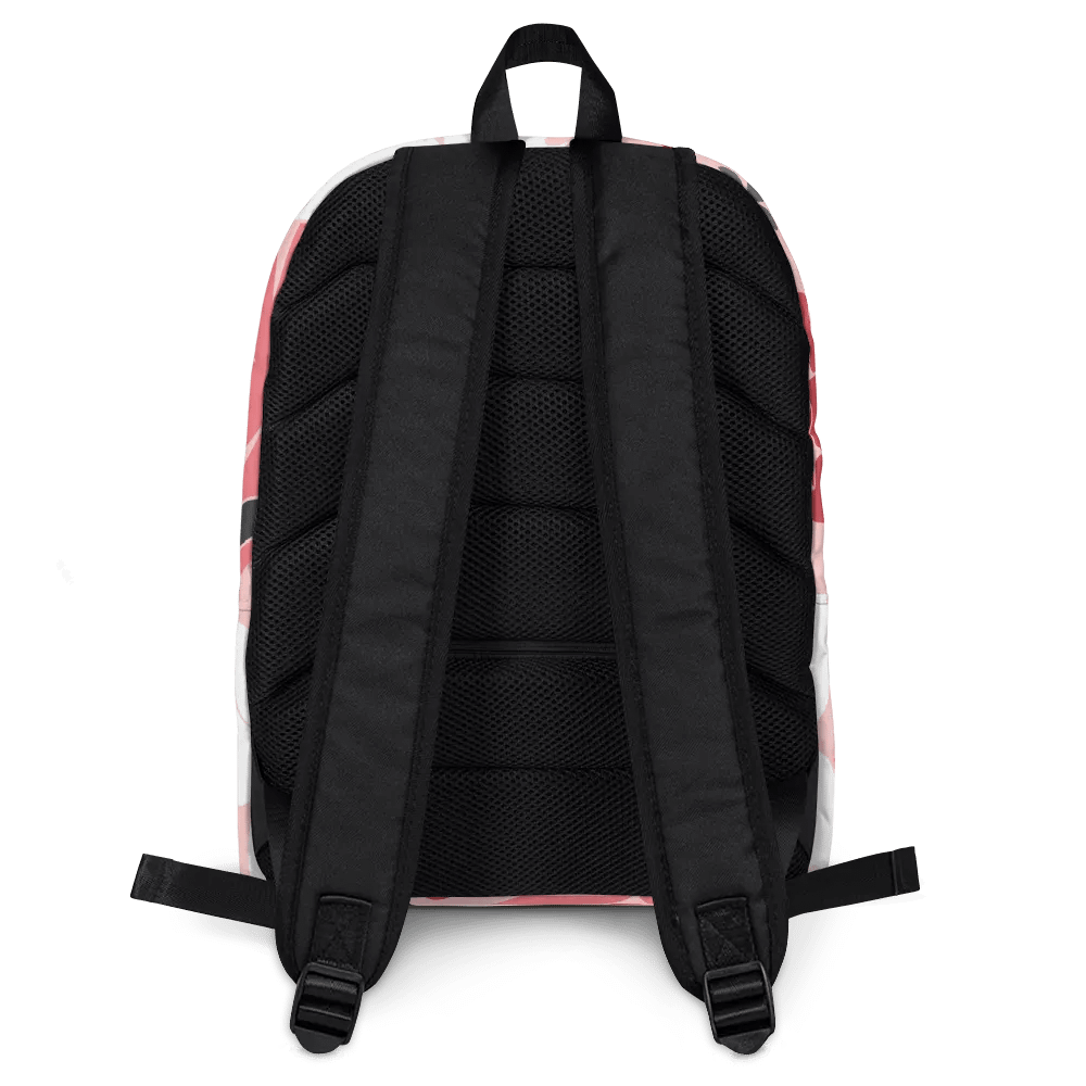 MrVault Backpack product image (4)