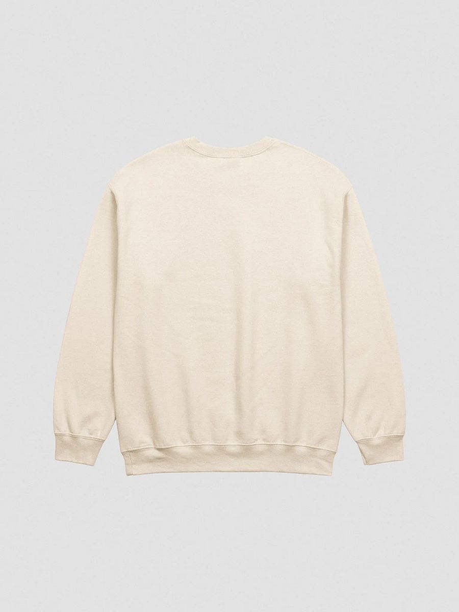 salmon embroidered crewneck product image (9)