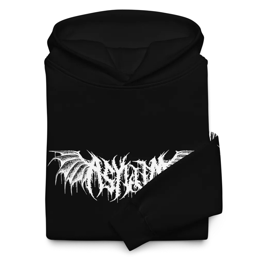Asylum coat product image (5)