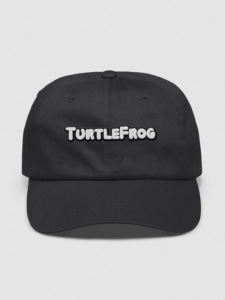 Turtle Hat product image (5)
