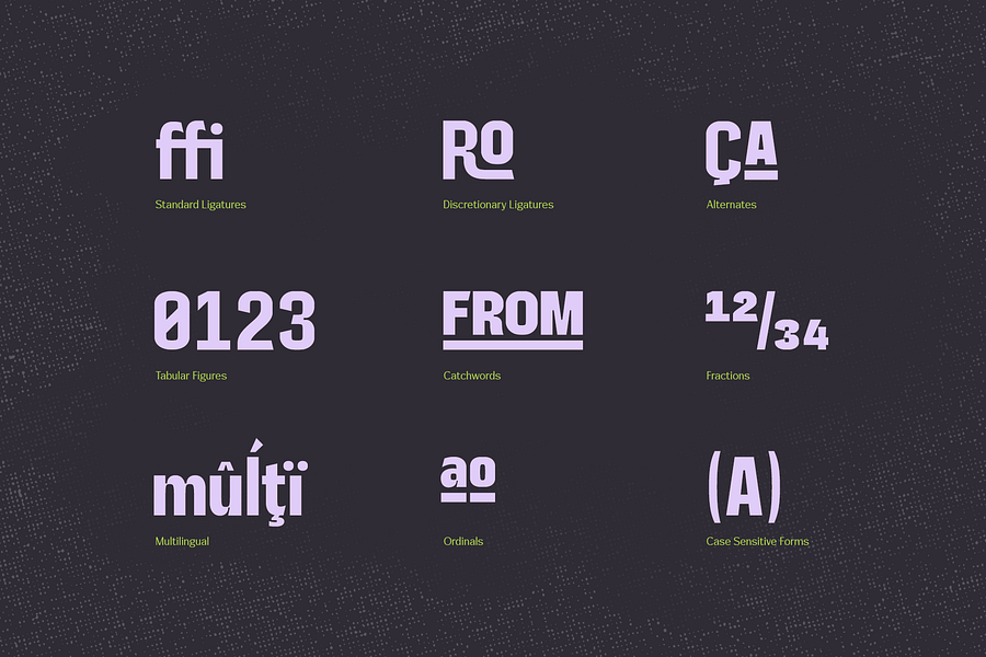 Gardo Grotesk | A Bold Condensed Display Typeface product image (6)