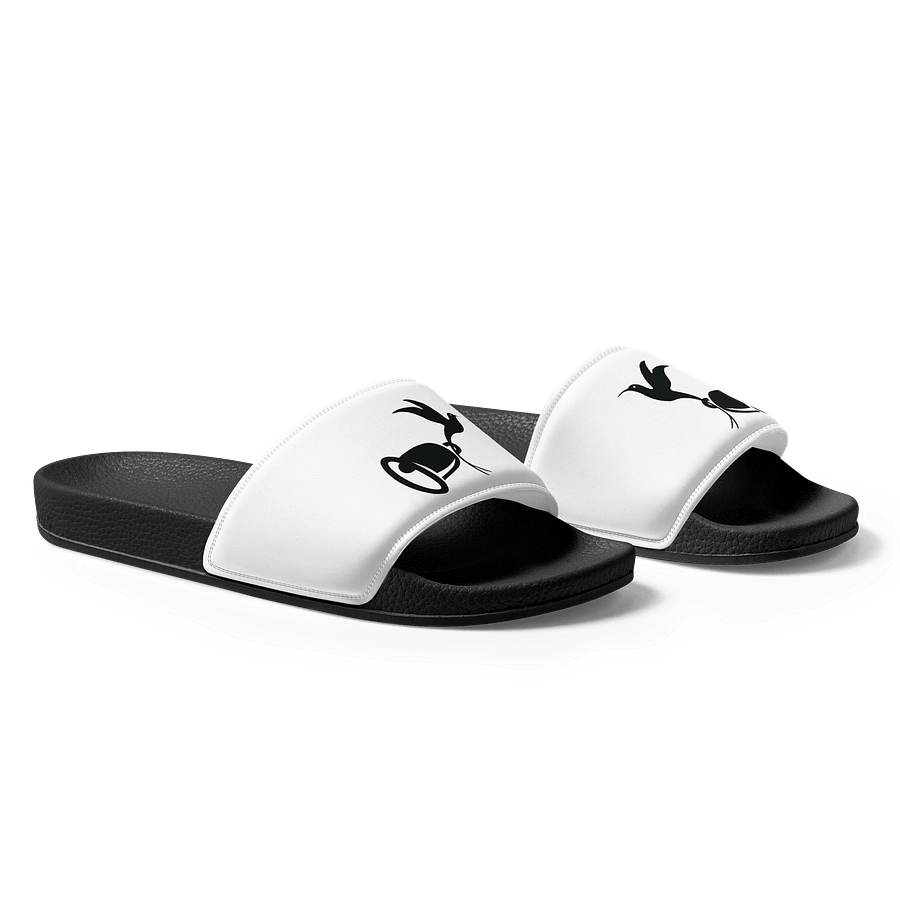 Hummingbird Haven Slides product image (1)
