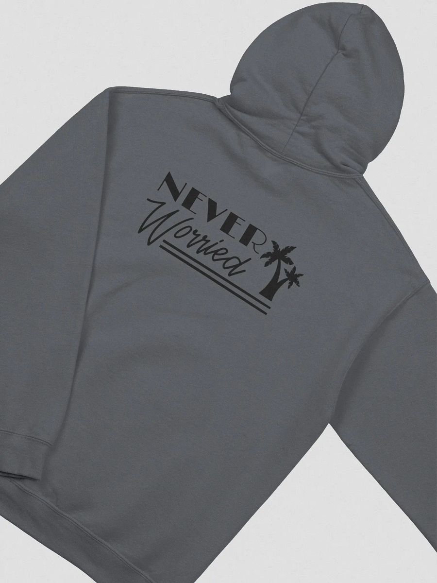 Never Worried Gildan Hoodie product image (19)