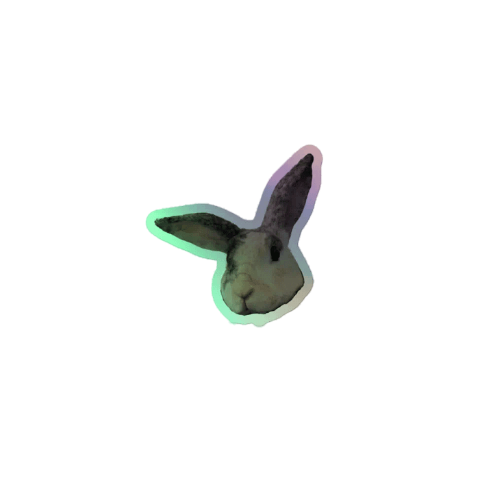 HOLO BEANSSSSS product image (1)