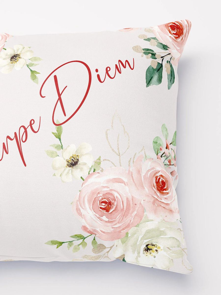 Carpe Diem Pillow product image (5)