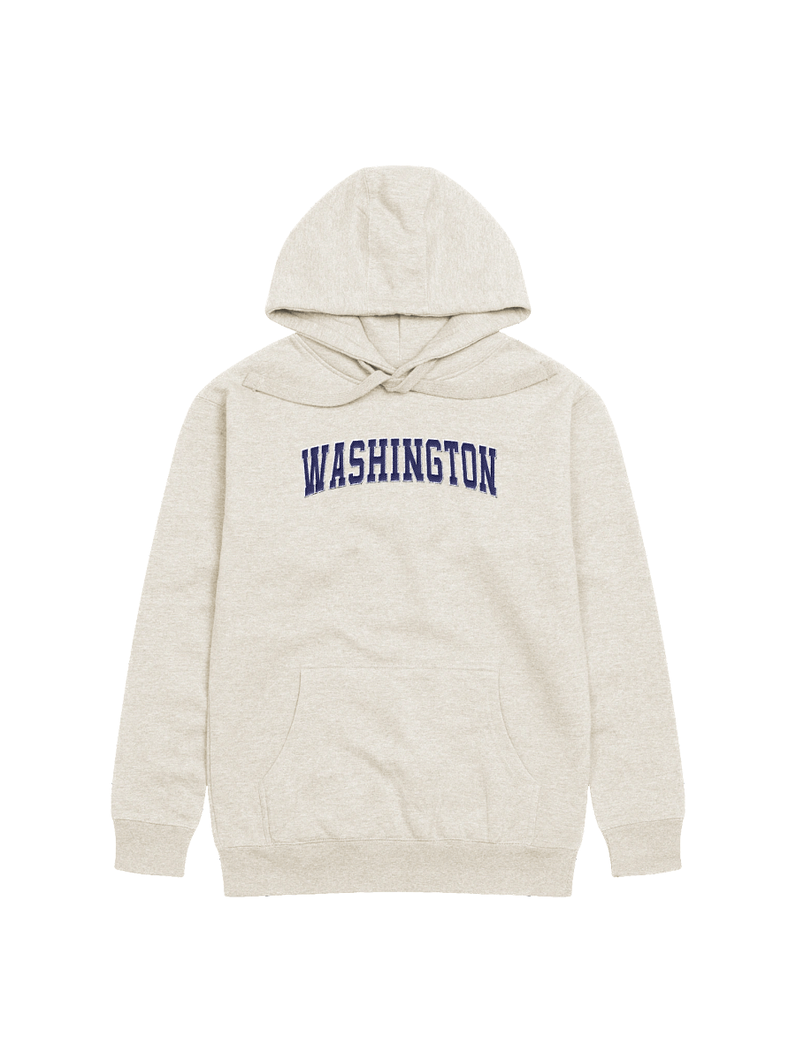 Washington Vintage Stylish Embroidery Unisex Premium Hoodie product image (1)