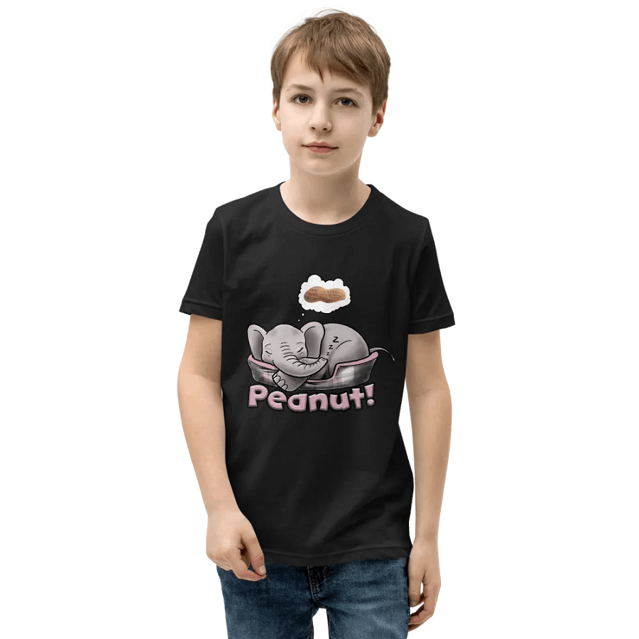 Sleepy Peanut - SFA Youth T-Shirt product image (3)