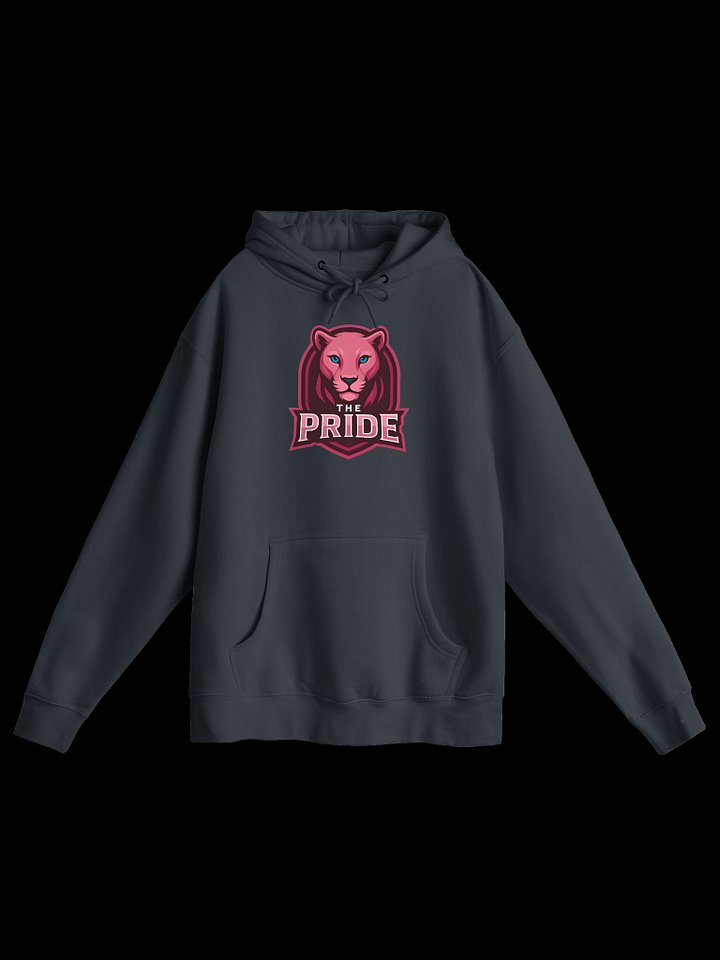 The Pride Sweater product image (6)