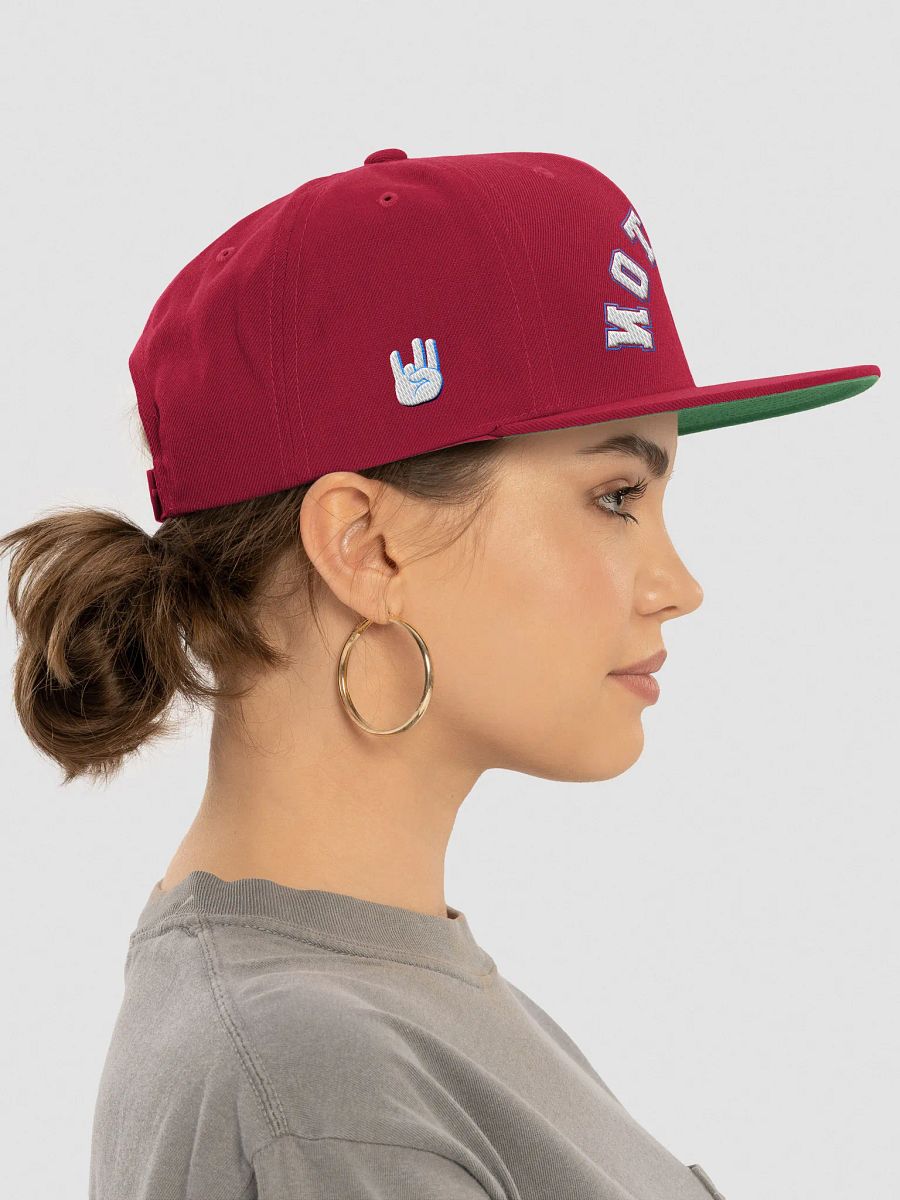 Capsmas 2024 Day 15: Reverse Houston Hit (Coog's House) Snapback product image (6)