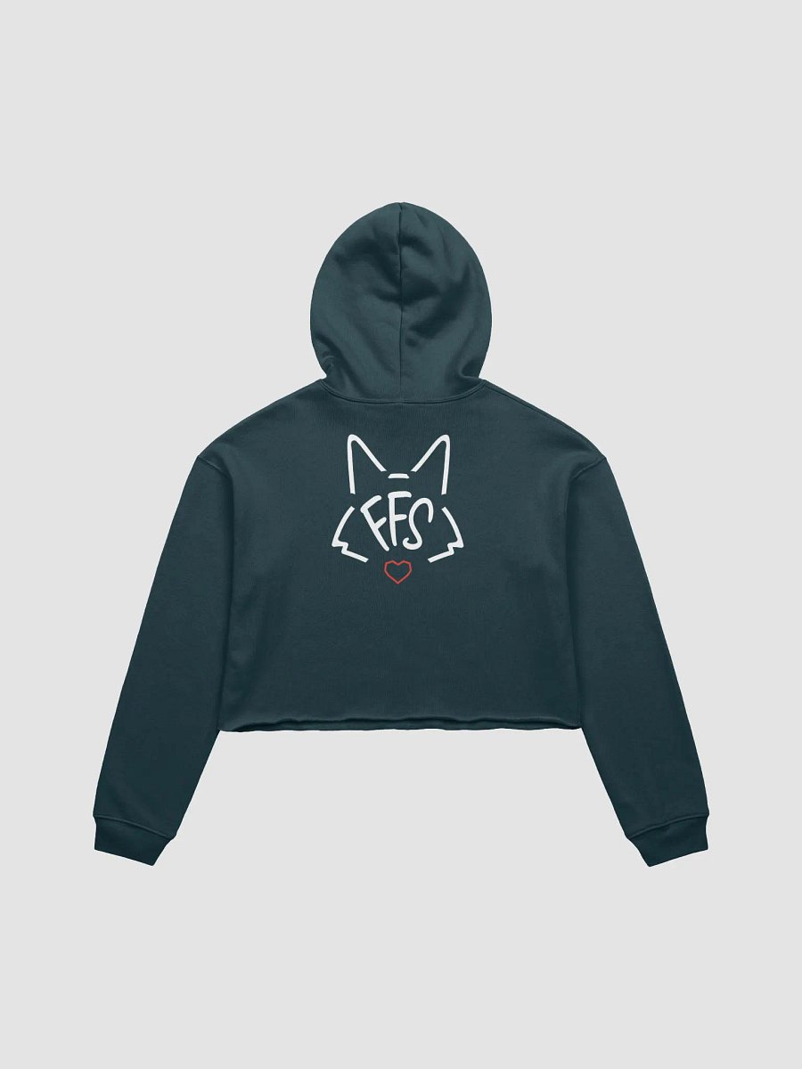 FFS Cropped Hoodie product image (8)
