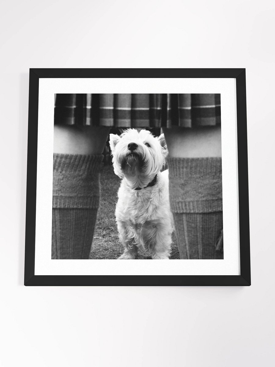 jjjj product image (12)