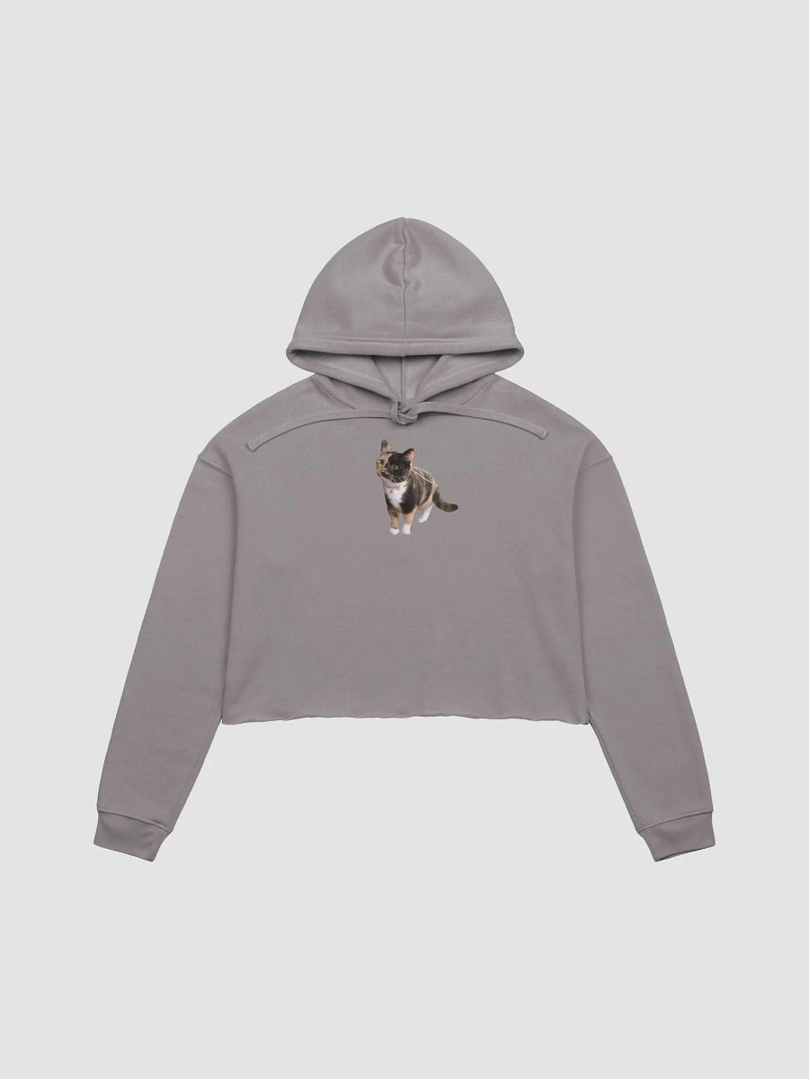 The Cutest Lyra Crop Top Hoodie product image (1)