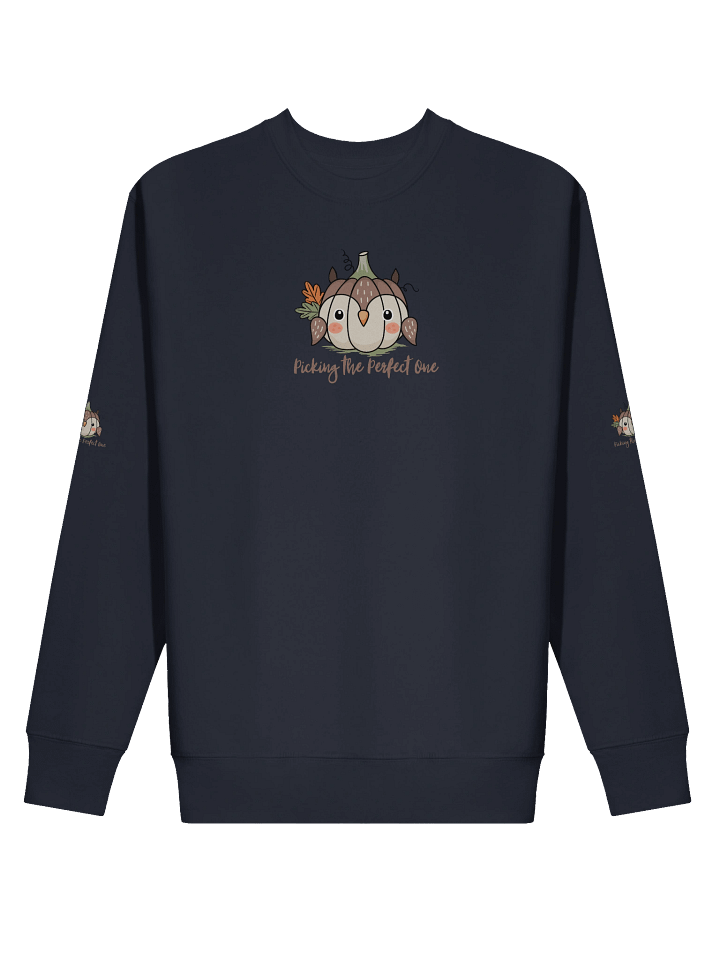 Picking the Perfect One Pumpkin Sweatshirt product image (12)