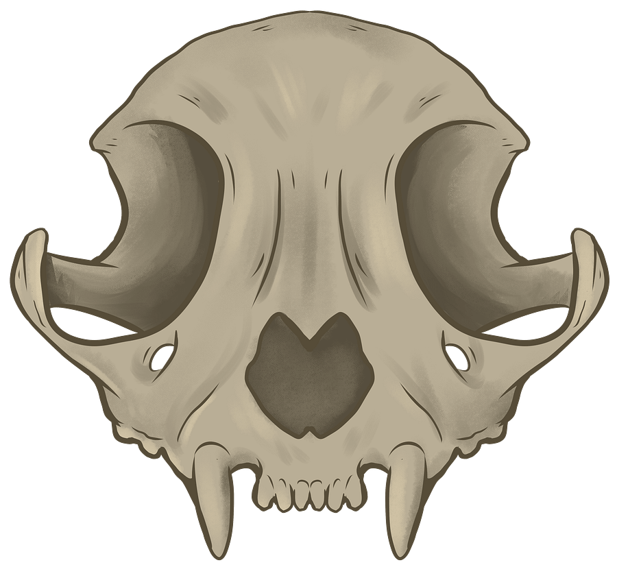 CatSkull product image (1)