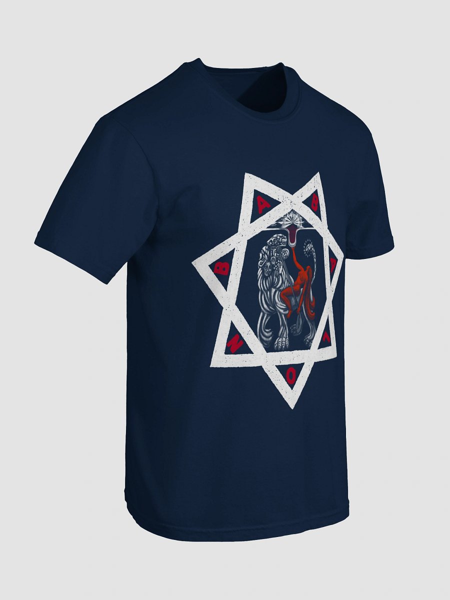 Scarlet Woman Tee product image (44)