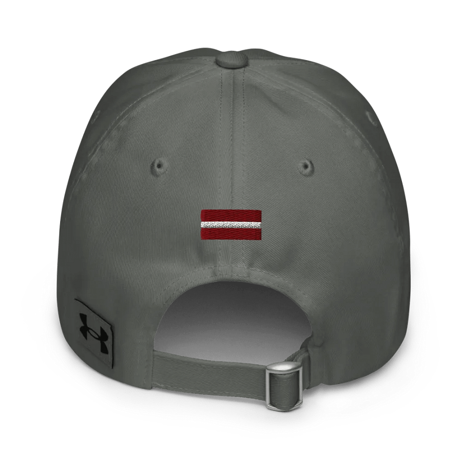 RS Logo - Dad Hat product image (2)