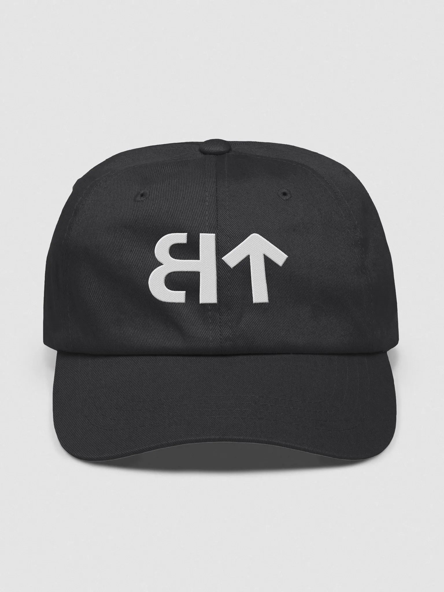 BT Logo Hat product image (2)
