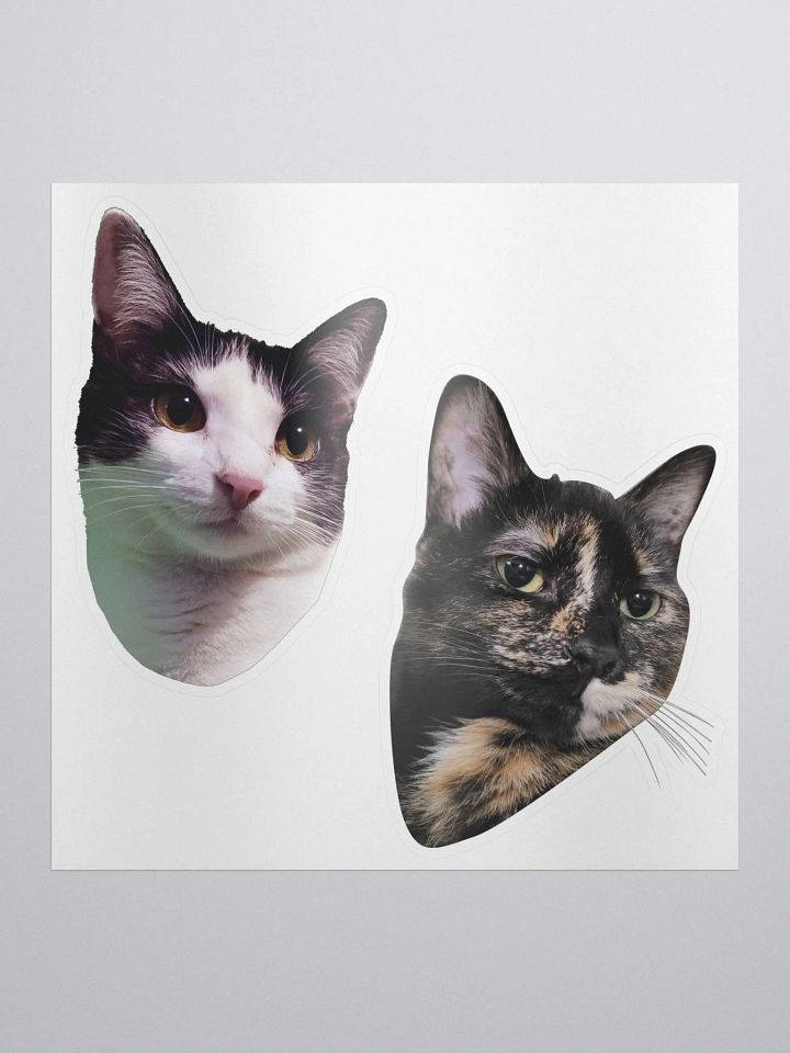 Iris & Roxy Sticker Set product image (1)