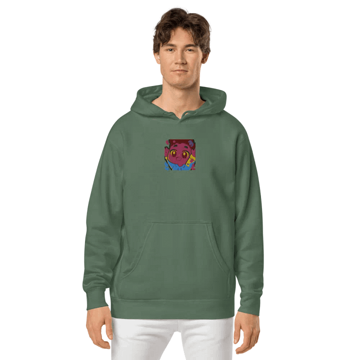 DanVasion Hype Embroidered Hoodie product image (13)