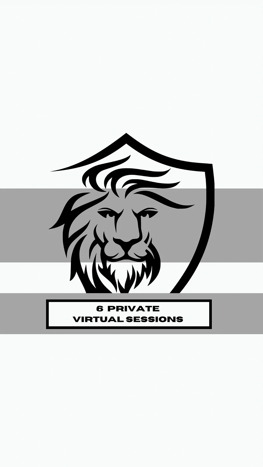 6 Private Virtual Sessions product image (1)