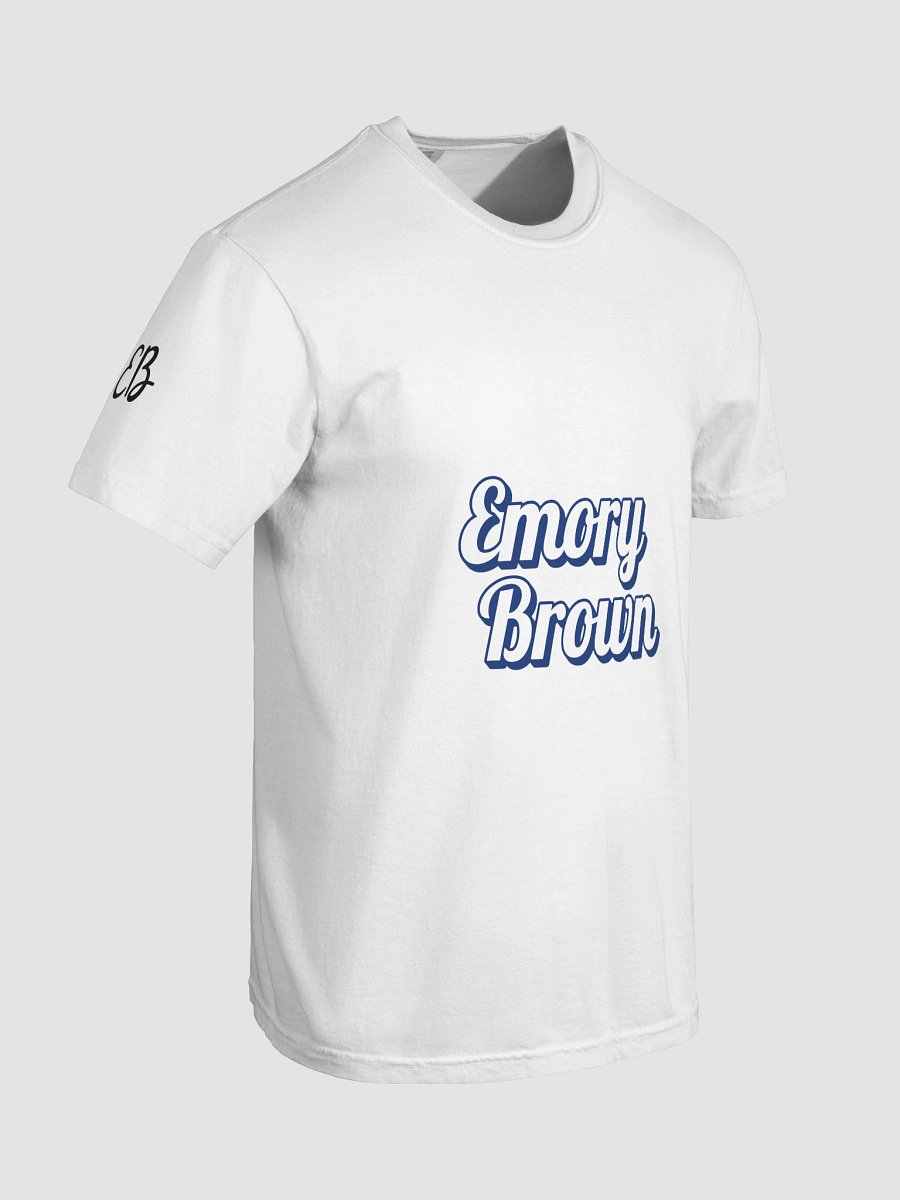 Emory Brown Outlined T-Shirt product image (87)