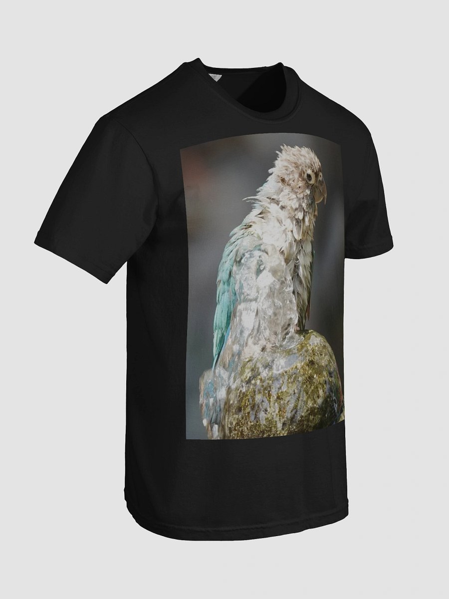 Ruffled Feathers Parrot Tee product image (7)