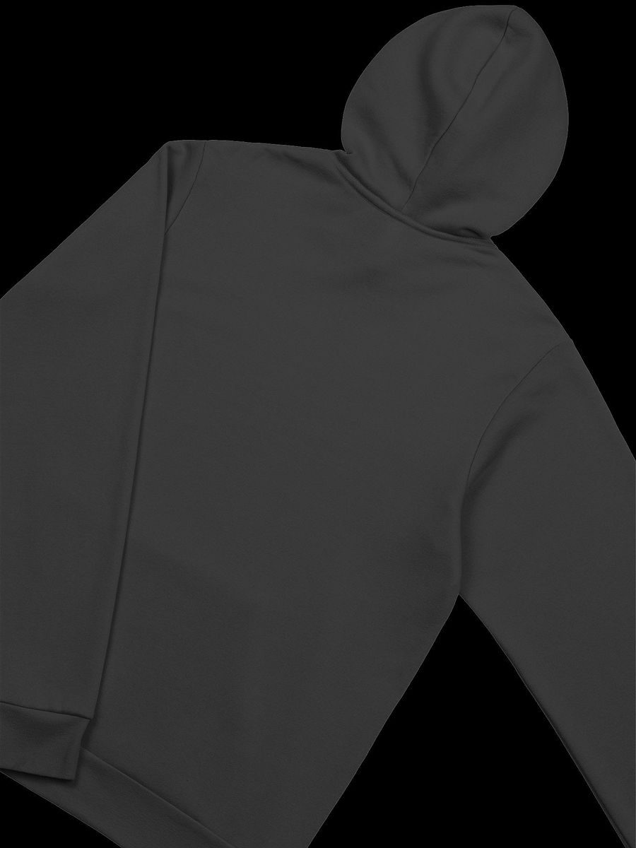 Pest Era Hoodie product image (10)