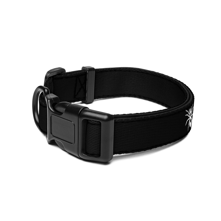 "My other dog is a tarantula" dog collar product image (2)