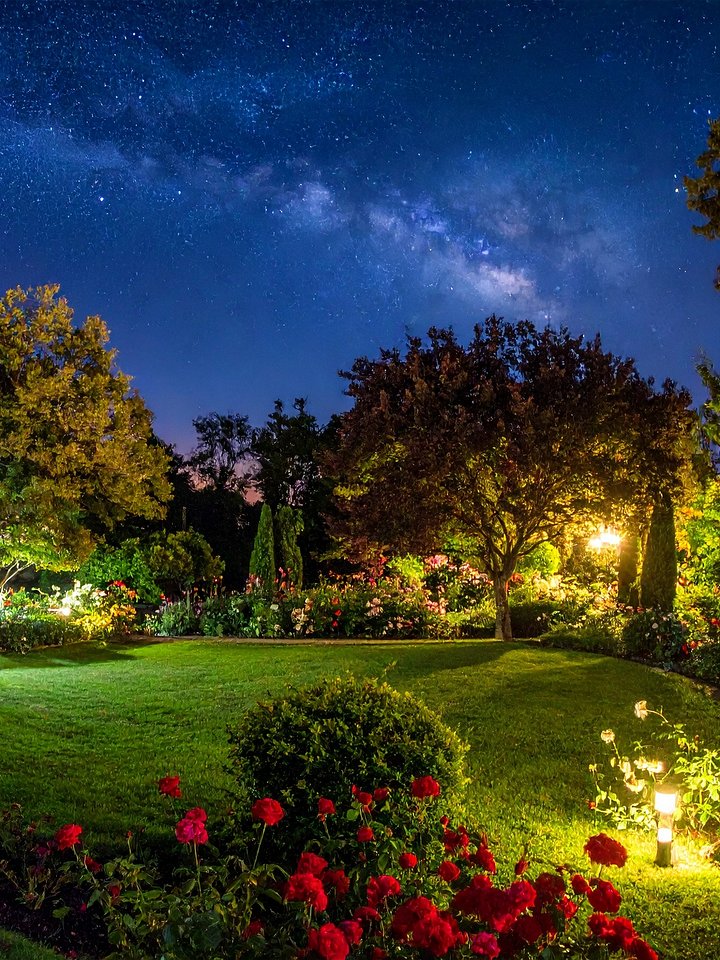 Celestial Garden product image (1)