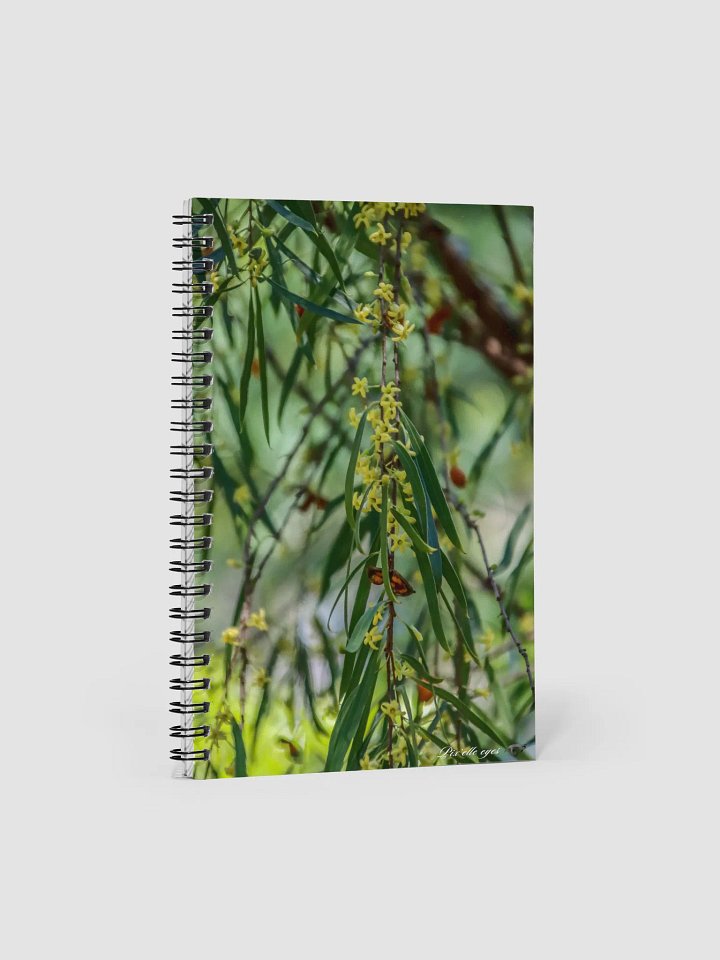📓 Notebook Collection PURE – Jardin du Rayol – Le Berrigan Pleureur product image (1)