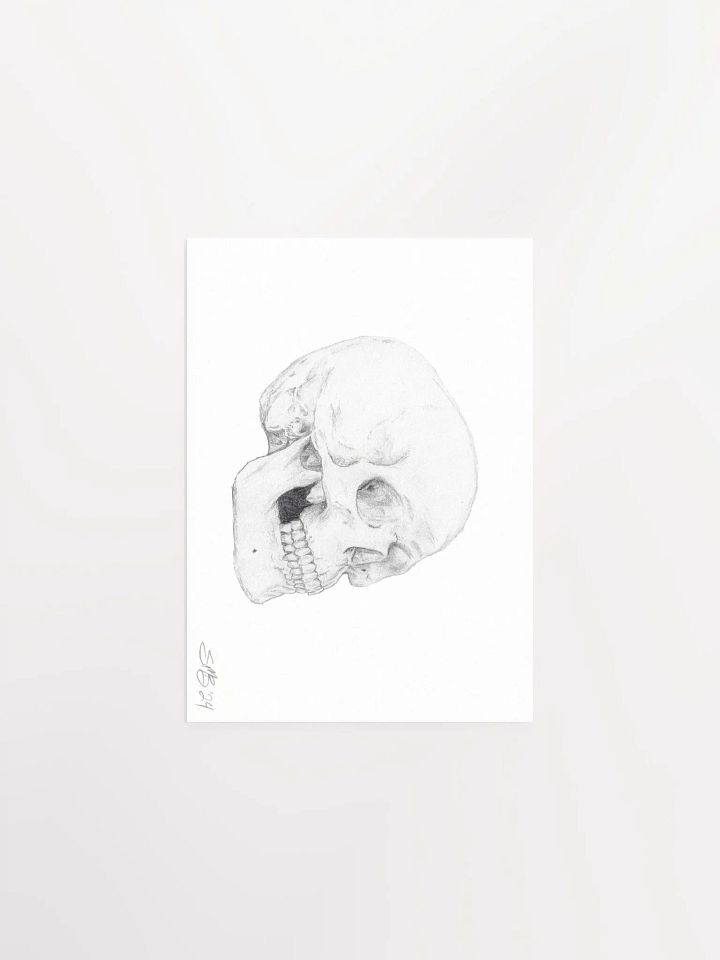 Skull Wall Art product image (1)