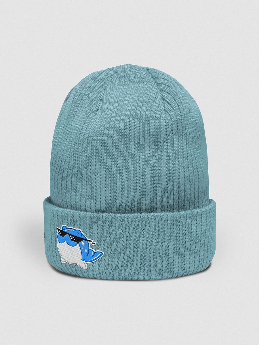 Spheal With It - Embroidered Beanie product image (12)