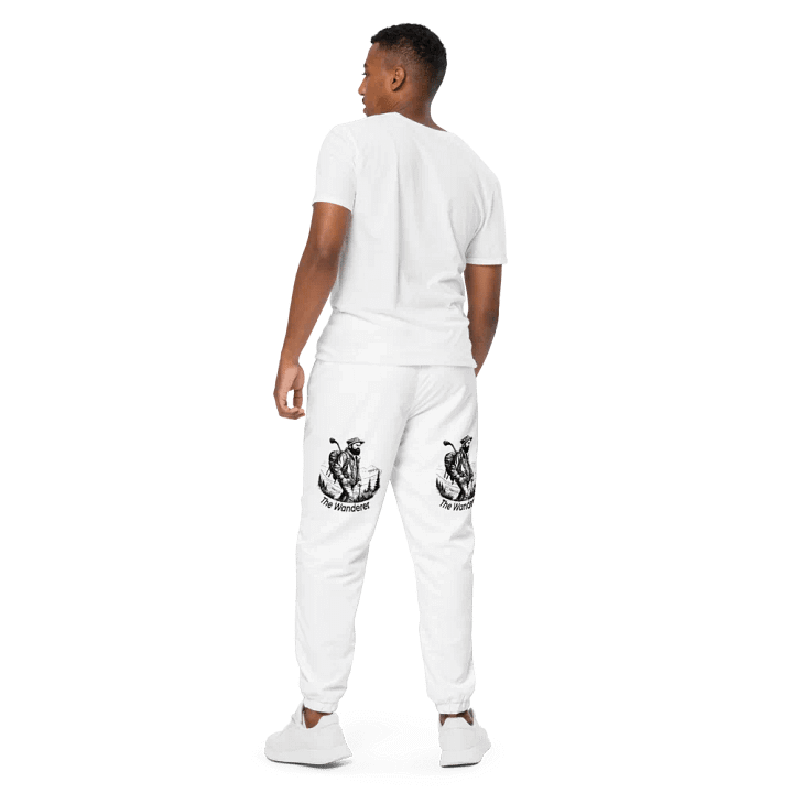 The Wanderer product image (1)