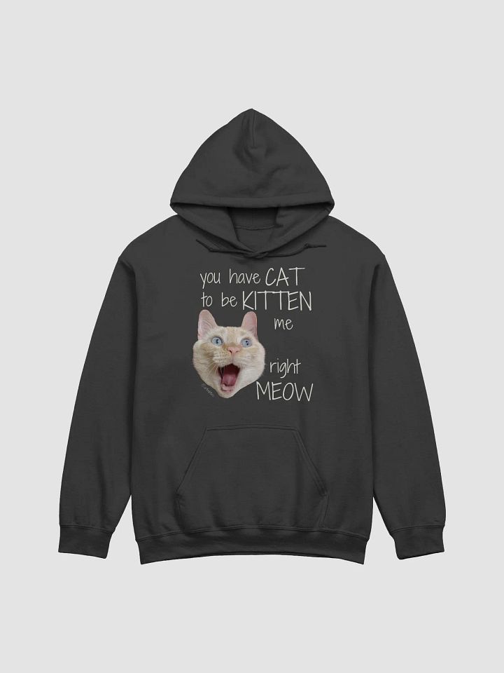 You have CAT to be KITTEN me right MEOW Hoodie product image (1)