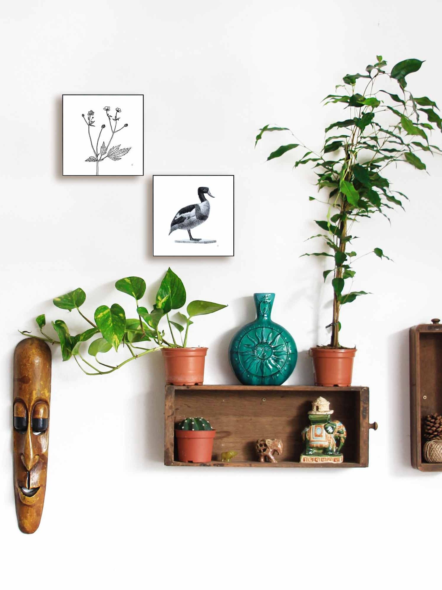 Blank Canvas: Unleash Your Artistic Vision - Duck product image (6)