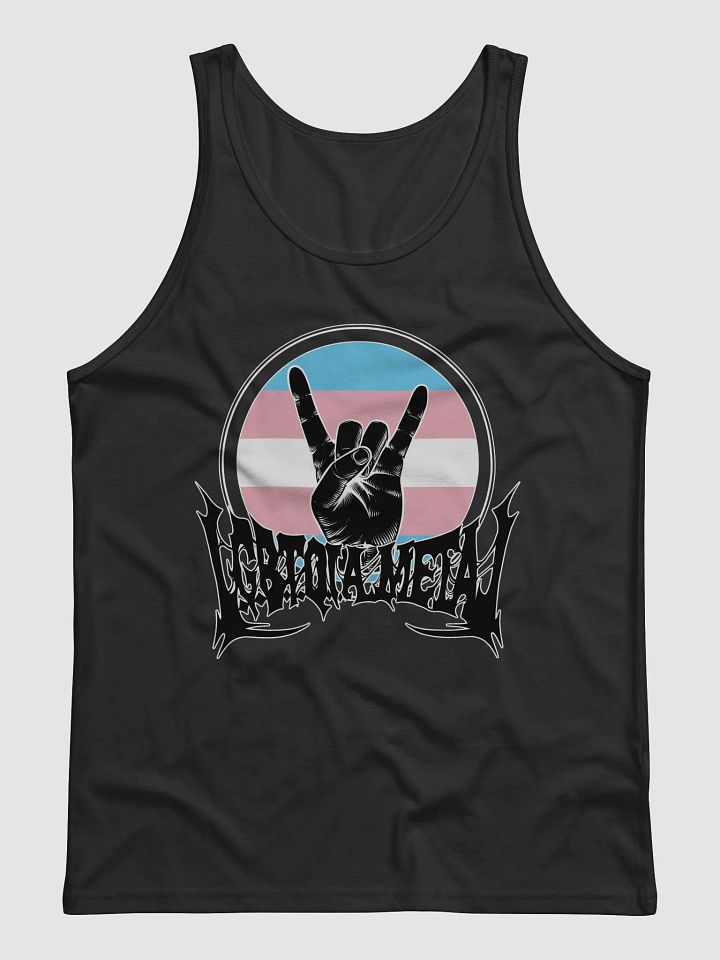 LGBTQIA Trans Flag product image (1)