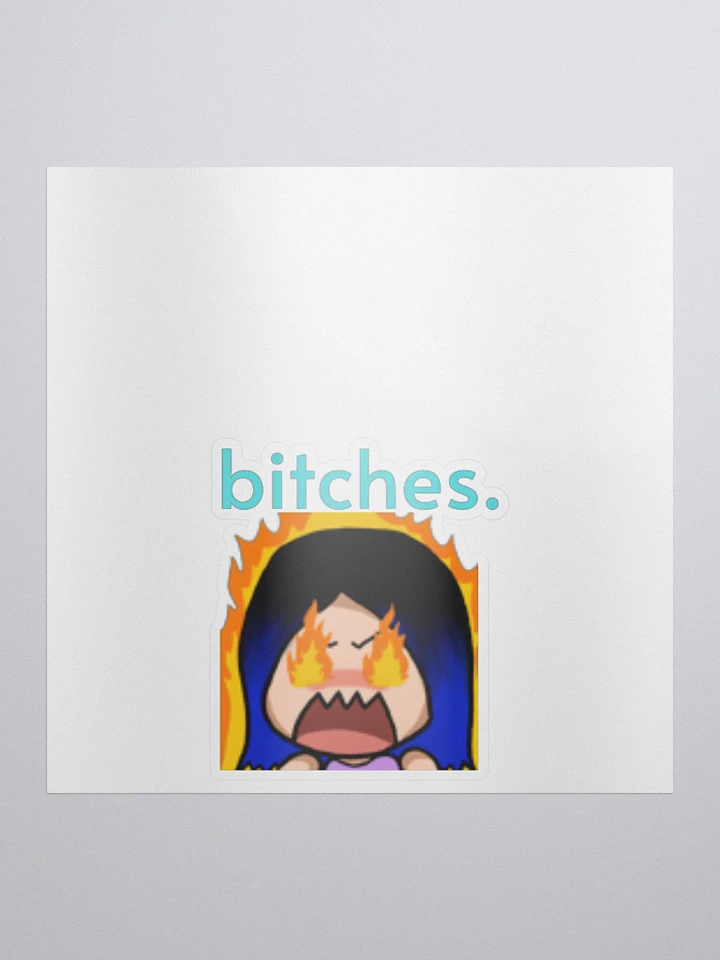 bitches sticker product image (1)
